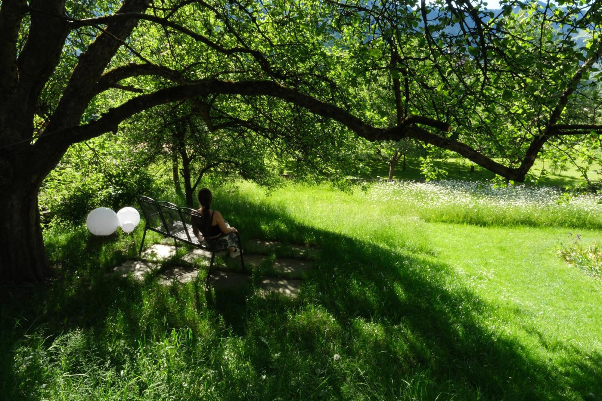 Apart Moidl Mit Privatem Pool Hart im Zillertal Εξωτερικό φωτογραφία